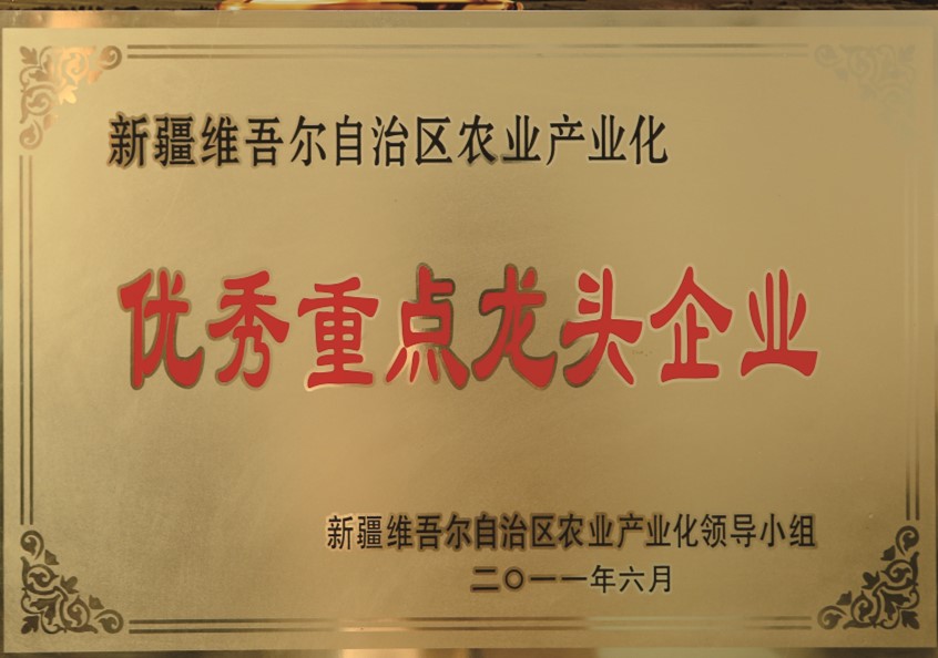 自治區(qū)農(nóng)業(yè)產(chǎn)業(yè)化優(yōu)秀重點龍頭企業(yè)